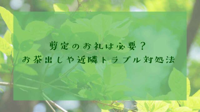 剪定お茶出し
