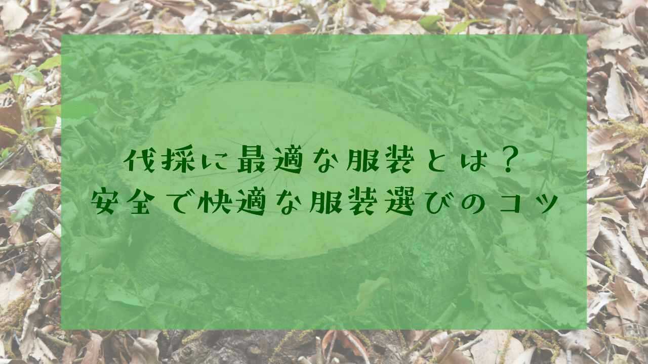 伐採の服装について