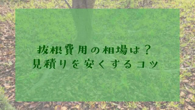 抜根費用