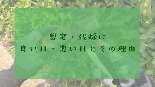 剪定・伐採の良い日悪い日