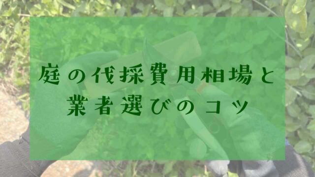庭の伐採費用相場