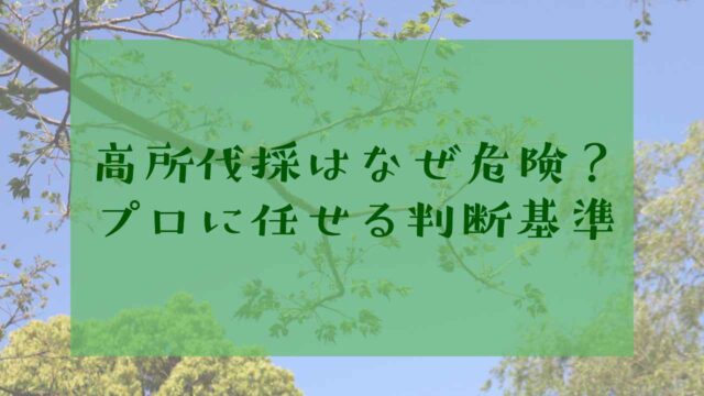 高いところの伐採