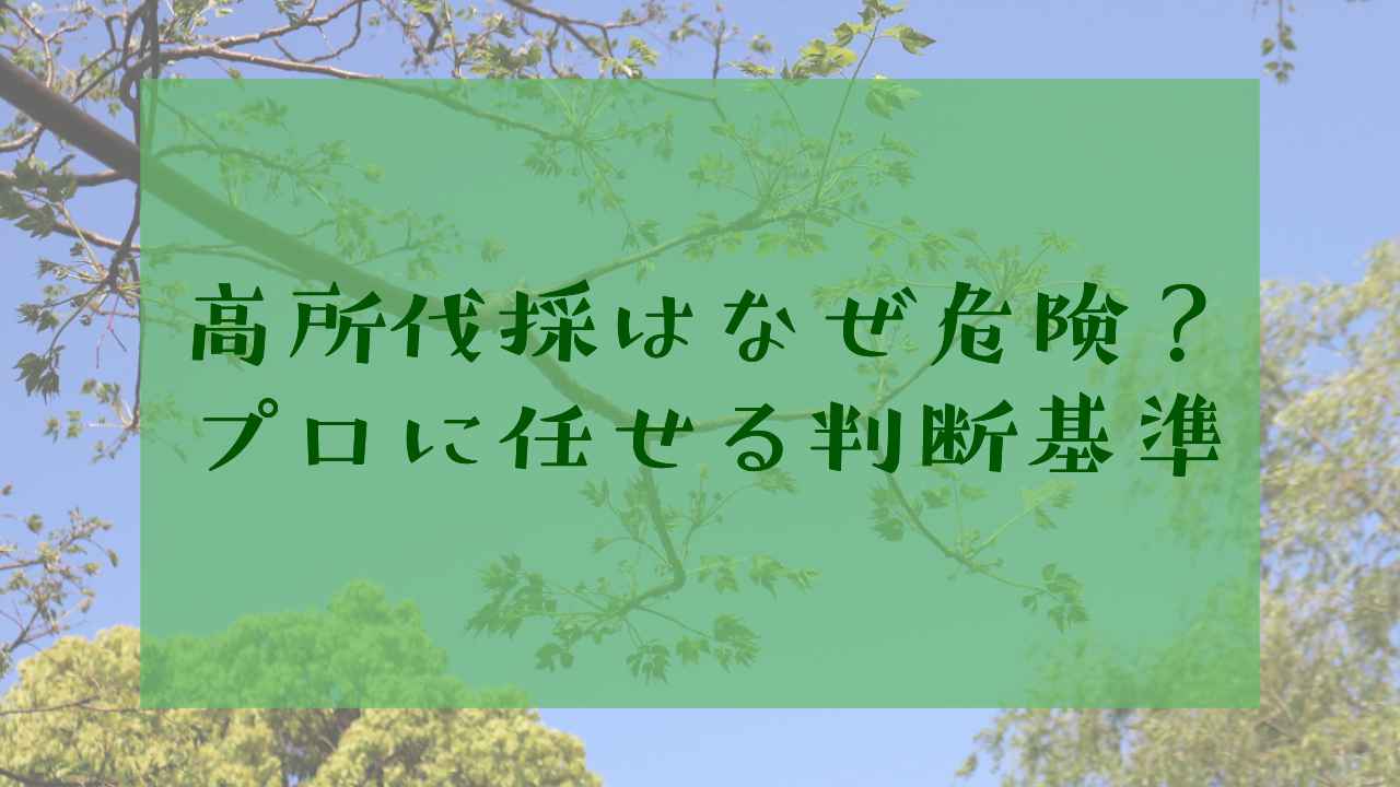 高いところの伐採