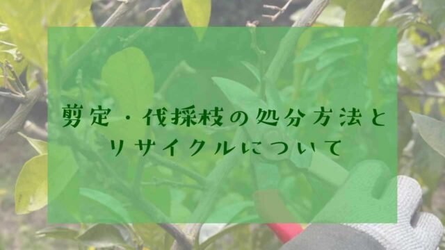 剪定伐採枝の処分
