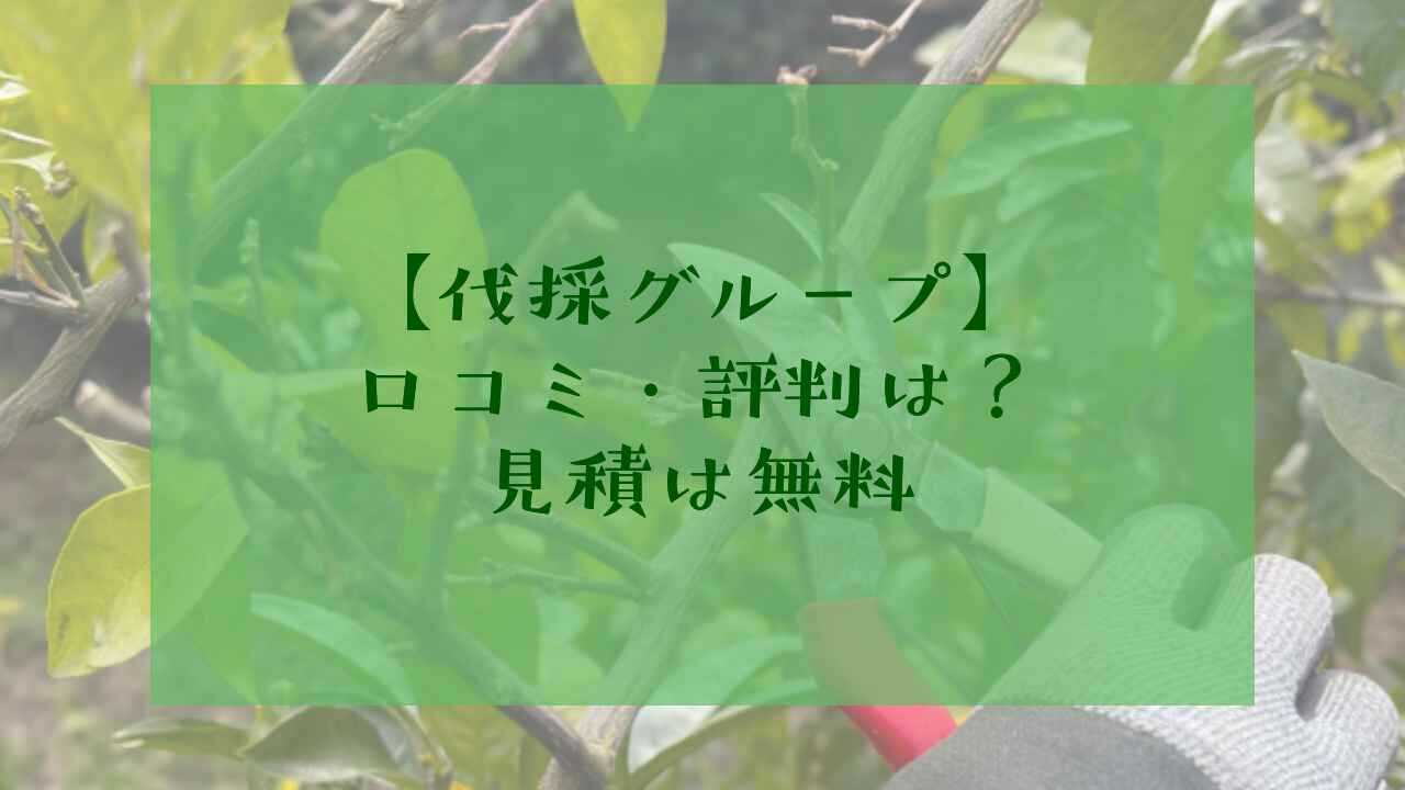 伐採グループ