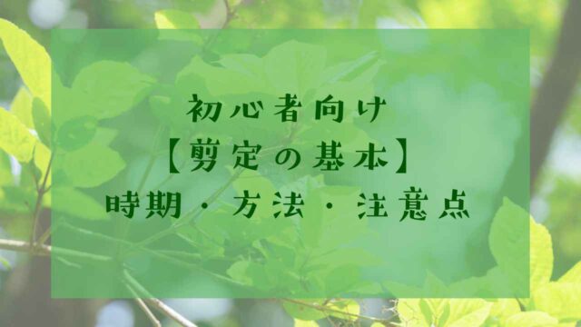剪定の基本