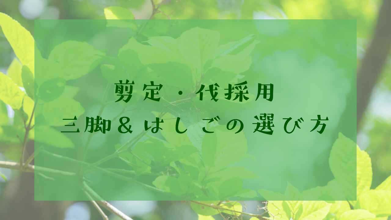 剪定・伐採用三脚とはしご