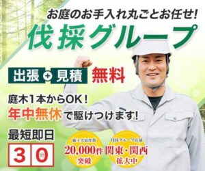 伐採グループ