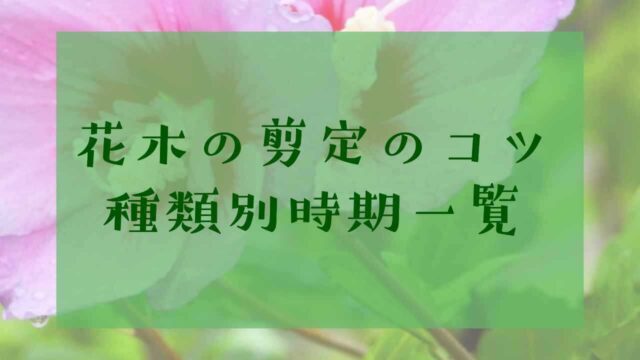 アイキャッチ花木の剪定一覧表