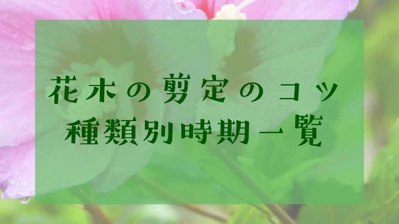 アイキャッチ花木の剪定一覧表