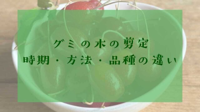 グミの剪定