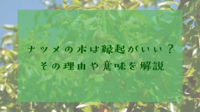 ナツメの木の縁起と意味｜庭木におすすめされる理由｜庭木の剪定・伐採 