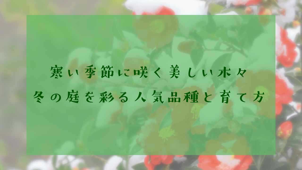 冬に咲く木と花の種類｜寒い季節を彩る人気品種と育て方｜庭木の剪定・伐採ガイド