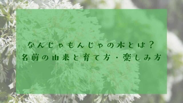 アイキャッチなんじゃもんじゃ