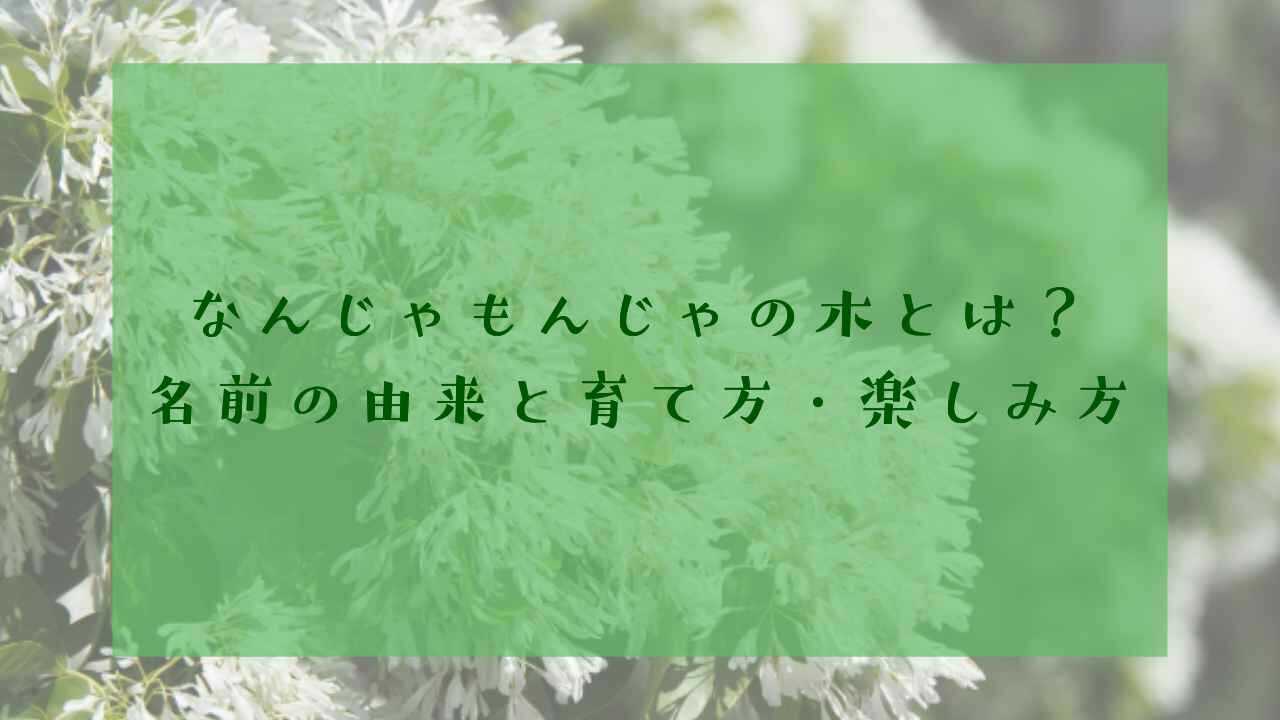 アイキャッチなんじゃもんじゃ