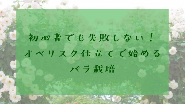 アイキャッチオベリスク仕立てバラ