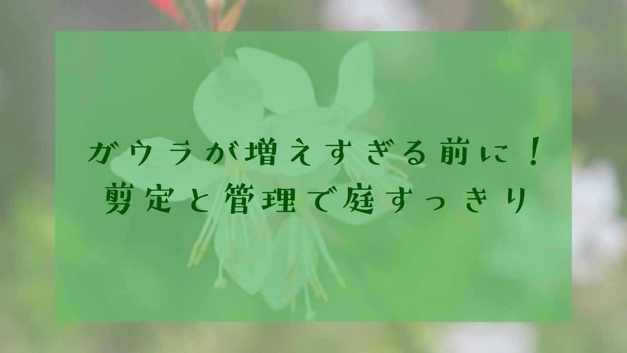 アイキャッチガウラ増えすぎ
