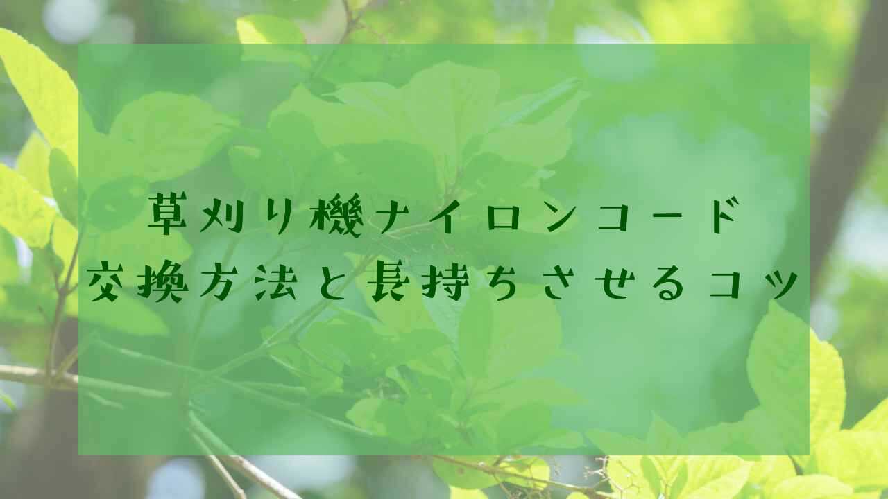 アイキャッチナイロンコード