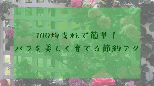 アイキャッチバラ支柱100均