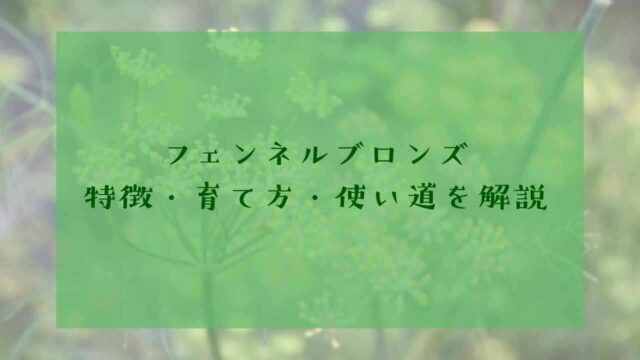 アイキャッチフェンネルブロンズ