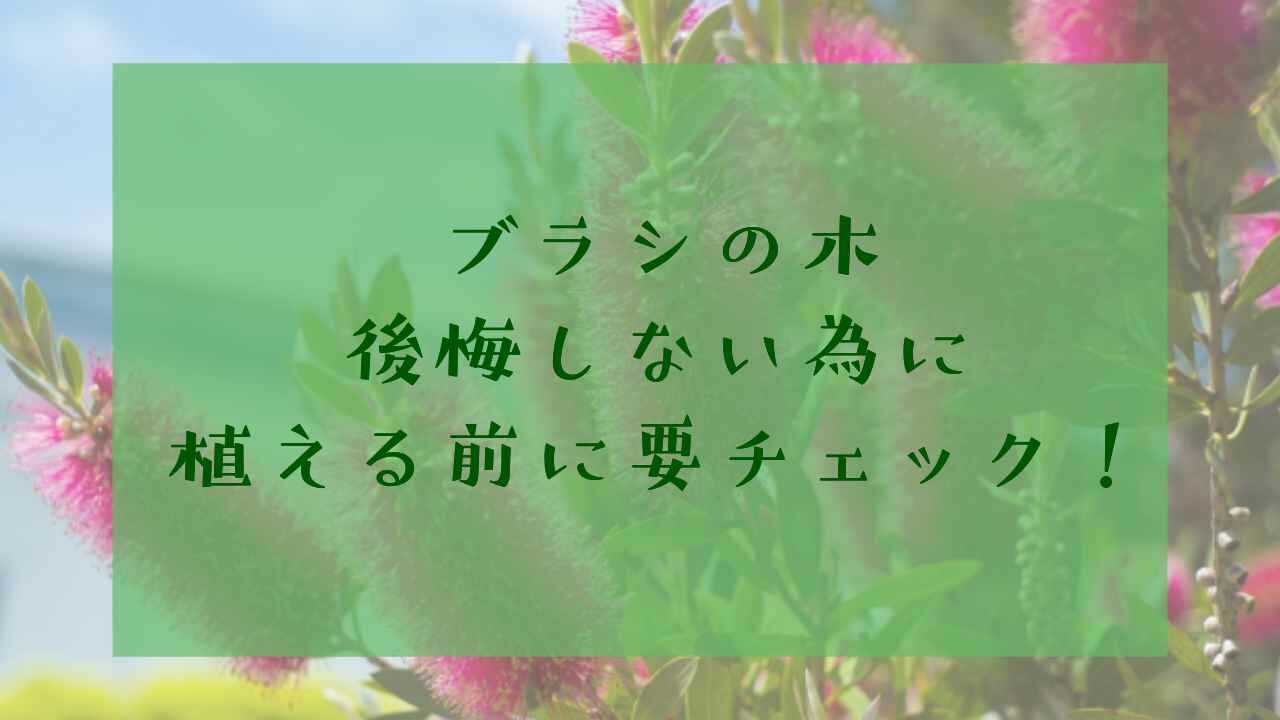 アイキャッチブラシの木後悔