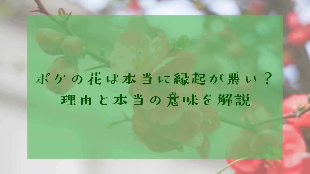 アイキャッチボケの花縁起