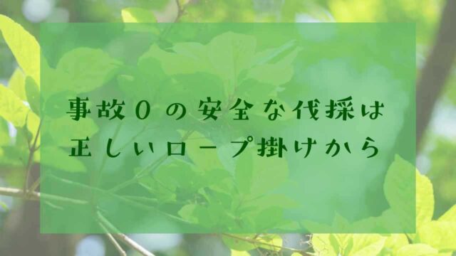 アイキャッチ伐採ロープ掛け