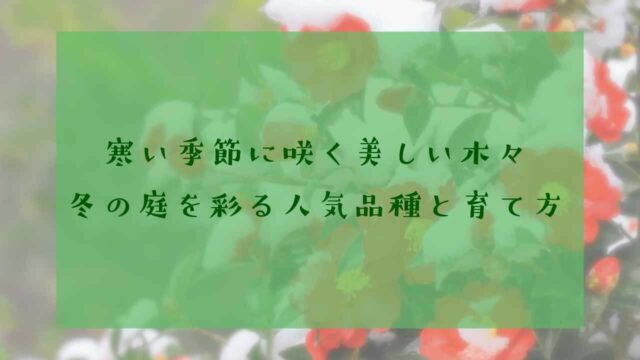 アイキャッチ冬に咲く木