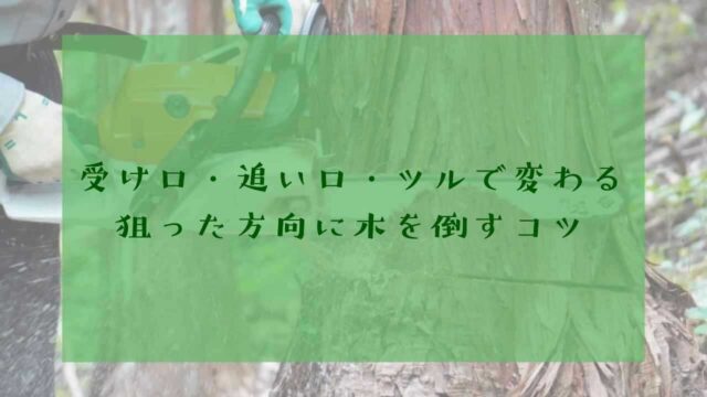 アイキャッチ受け口追い口ツル