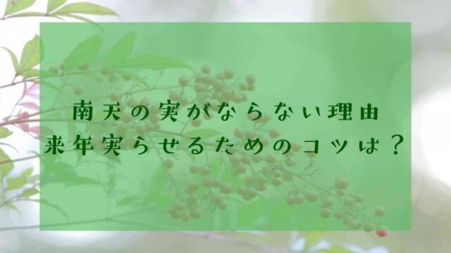 アイキャッチ実のならない南天