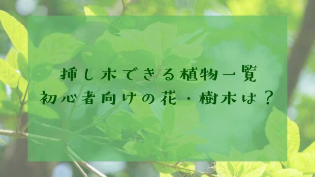 挿し木できる植物一覧