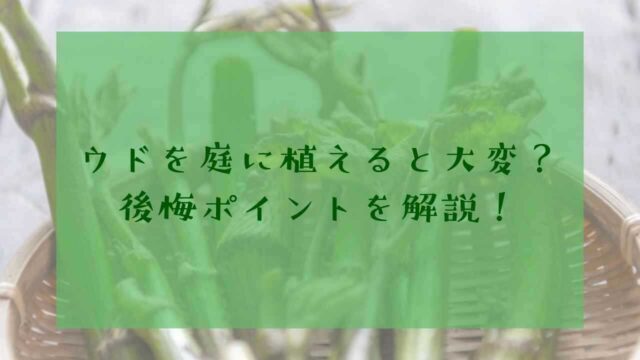 アイキャッチウド庭に植えてはいけない
