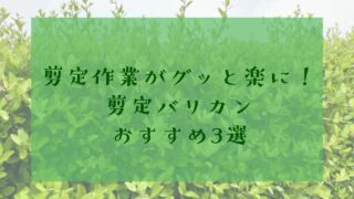 アイキャッチ剪定バリカンおすすめ3選