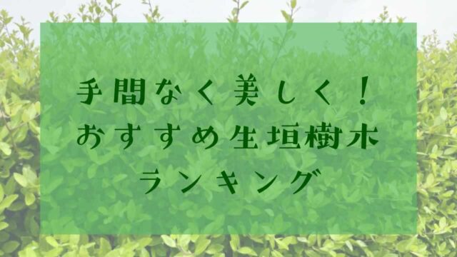 アイキャッチ生垣剪定樹木種類