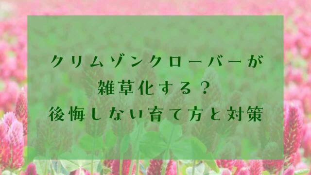 アイキャッチクリムゾンクローバー後悔