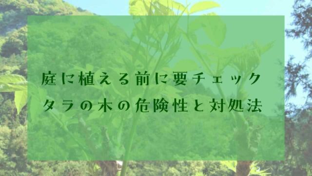 アイキャッチタラの木植えてはいけない