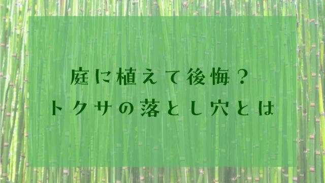 アイキャッチトクサ植えてはいけない