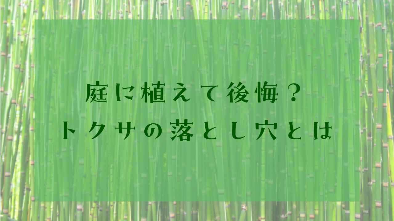 アイキャッチトクサ植えてはいけない