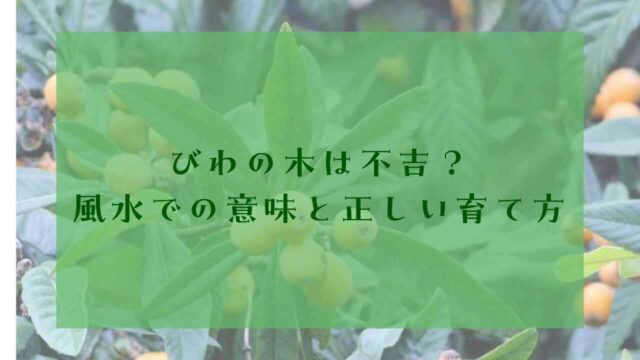 アイキャッチビワの木風水