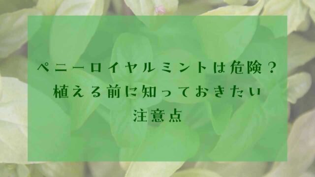 アイキャッチペニーロイヤルミント植えてはいけない