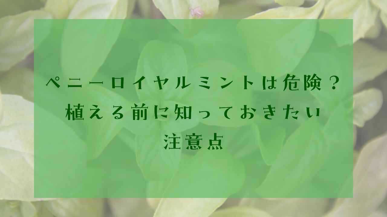 アイキャッチペニーロイヤルミント植えてはいけない