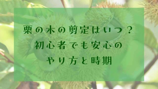 アイキャッチ栗の木剪定