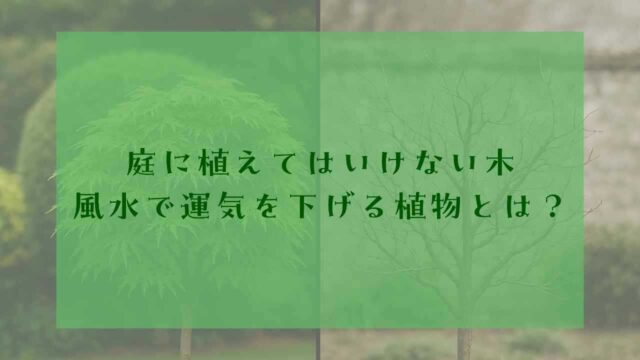 アイキャッチ風水よくない庭木
