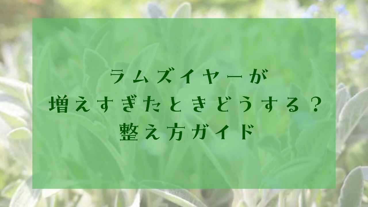 アイキャッチラムズイヤー増えすぎ