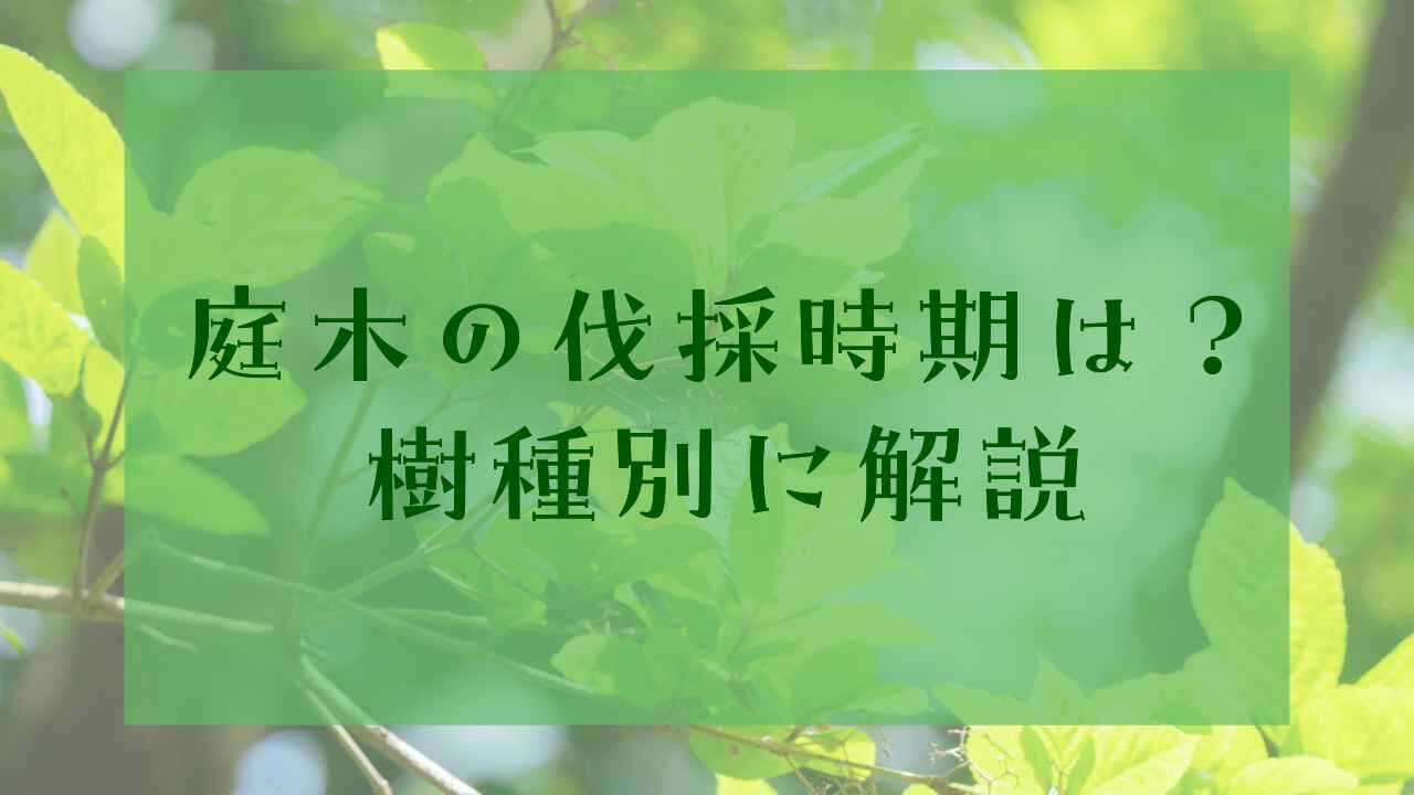 アイキャッチ庭木の伐採